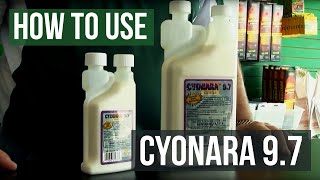 How to use Cyonara 97 Insecticide for Ants and Roaches [upl. by Nerek190]