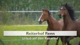 Reiten in Rheinland Pfalz Ferienwohnung Limburg an der Lahn Reiterhof Renn [upl. by Thin]