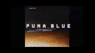 Puma Blue  Lust lyric video [upl. by Lemmy332]