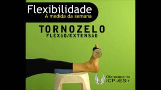 Tornozelo FlexãoExtensão [upl. by Alard]