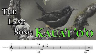 Kauai oo  The Last Song Transcribed amp Performed [upl. by Proudlove]