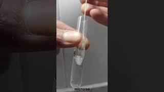 Catalase test principle and method an easy way to understand in Hindi and Urdu [upl. by Sile665]