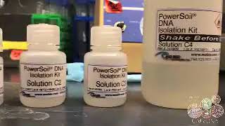 3 DNA Extraction for CALeDNA [upl. by Tioneb]