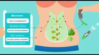 BioGutSolver – The 4 0 Technology for Flat Belly Morphic Field [upl. by Tad254]