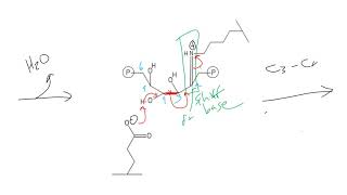 CHEM 407  Aldolase [upl. by Penney246]