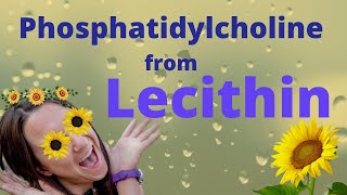 Phosphatidylcholine from Lecithin Brain SUPER Food [upl. by Clyte381]