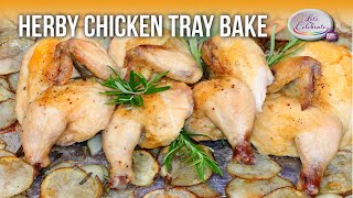 Herby Chicken Tray Bake  Lets Celebrate TV [upl. by Etnoel581]