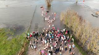 Nieuwjaarsduik 3 Lexmond 2024 [upl. by Auqenwahs]