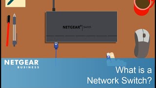 What is a Network Switch  NETGEAR Business [upl. by Garihc905]