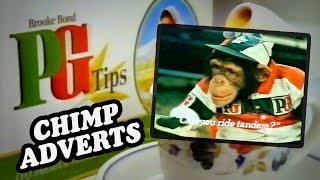 PG Tips Chimp Adverts Retrospective [upl. by Elia]