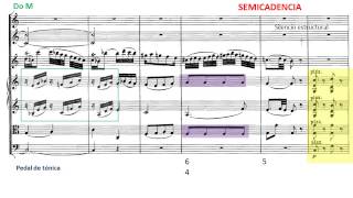 Mozart Andante para flauta y orquesta Kv 315 Musical Analysis [upl. by Fillander]