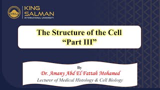 Structure of the cell lecture part III nonmembranous organelles amp cell inclusions [upl. by Roleat39]