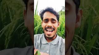 Tutataa badaniya bhojpuri song short video bhojpuri song [upl. by Dogs]