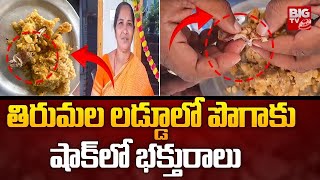 Tobacco In Tirumala Laddu  తిరుమ‌ల ల‌డ్డూలో ఎంగిలి పొగాకు పొట్లం  Tirumala Laddu  BIG TV [upl. by Ellata978]