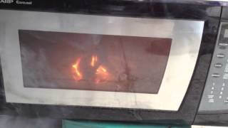 Lithium Ion Batteries in a microwave [upl. by Misha]