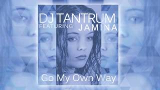 DJ Tantrum feat Jamina  Go My Own Way Radio Edit [upl. by Ailekat437]