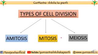 TYPES OF CELL DIVISION  AMITOSIS  MITOSIS  MEIOSIS [upl. by Lanford]