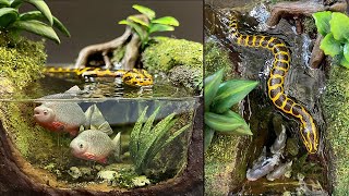 How to Make a River Diorama  Epoxy Resin  Yellow Anaconda Snake amp Pacu Fish [upl. by Allac]