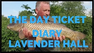 THE DAY TICKET DIARY LAVENDER HALL FISHERY CARP FISHING [upl. by Anyl]