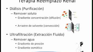 Terapias de reemplazo renal aguda en pediatria Francisco Floresmp4 [upl. by Alios]