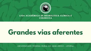 Grandes vias aferentes parte 01  Aula 11 LANCC [upl. by Ia247]