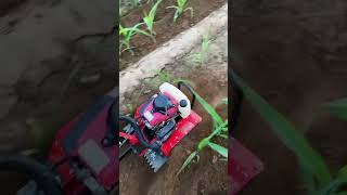 Weeder Small micro tiller Trenching and cultivating machine😱 [upl. by Enitselec]