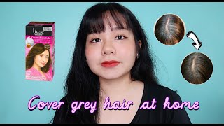 Howto Cover Grey Hair at Home with Liese Blaune   With Before and After Pics [upl. by Dar553]