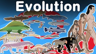 Awesome Human Evolution Timelapse [upl. by Ardnoid]