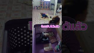 เงินหาย จับขโมยได้แล้ว 😂 funny comedy 😂 viralvideo subscribe ❤️🙏 [upl. by Hsina]