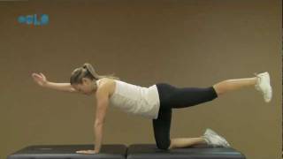 Back Strength Exercise Quadruped with Alternating Extremities [upl. by Voltz379]