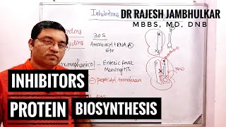 8 Inhibitors of Protein Biosynthesis [upl. by Benis]