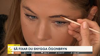 Så fixar du snygga ögonbryn  Nyhetsmorgon TV4 [upl. by Treblihp]