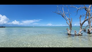 Out snorkeling to Looe Key Reef and the BEAUTY of Snipes Point Sandbar [upl. by Alduino68]