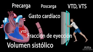 Gasto cardíaco Volumen sistólico VTD VTS Fracción de eyección Animación [upl. by Follansbee]