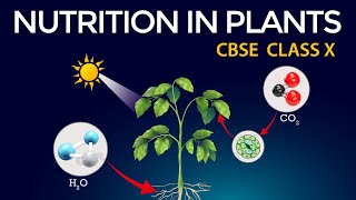 Nutrition  Chapter 5  Introduction  Class 10 Science  NCERT [upl. by Mosira]