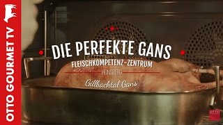 Gänsebraten perfekt zubereiten [upl. by Ssilem]