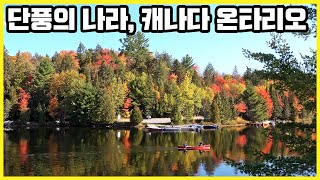 단풍의 나라에서 가을을 만끽하다 캐나다 온타리오 KBS20191123 방송 [upl. by Leisha]