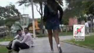 Hermanos Silva Princesita Sueña  video clip oficial [upl. by Clements768]