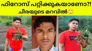 Firoz Chuttipara Ponnaganni🙄  Village Food Channel  Alternanthera Sessilis [upl. by Aitercal]