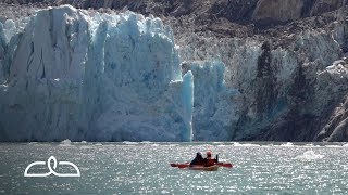 Endicott Arm amp Dawes Glacier  Alaska [upl. by Dloreg294]