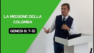 La missione della colomba Genesi 8 712  Tonino La Porta  22092024 [upl. by Nnyltiak]