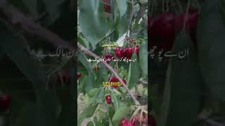 Mesmerizing Quran duet islamicstatus islamicprayer ytshorts viralvideo viralshorts viralreels [upl. by Suiradal]