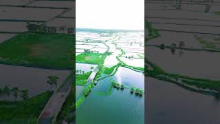 আমাদের গ্রাম Drone View sorts viralshort youtubeshorts dronview [upl. by Merrill]