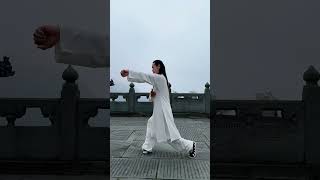 Wudang Taiji 13 Forms [upl. by Oicnevuj]