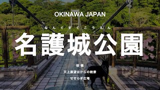 【沖縄穴場スポット】ここ知ってる？地元民も楽しめる絶景展望台・98mの桜つり橋・名護岳一帯が広大な園地 in 名護城公園 [upl. by Ridgley]