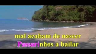 Passarinhos a Bailar Karaoke YouTube [upl. by Sprung]