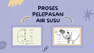 Proses Lactogenesis [upl. by Daphie]