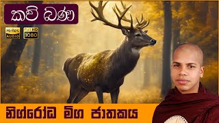 නිග්රෝධ මිග ජාතකය  Nigrodha Miga Jathaka Kathawa  Sinhala Kavi Bana [upl. by Juli]