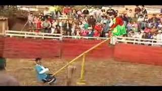 Peru Bull Fight See Saw Jackass Comedy [upl. by Annahsirhc]