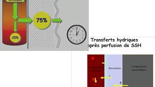 Solutés de remplissage et de réhydratation  quelles différences [upl. by Zzaj]